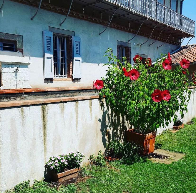 Chez Louise Bed & Breakfast Albi Exterior photo